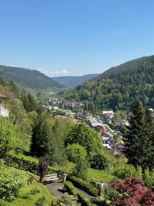 Bollenhut 1 Διαμέρισμα Bad Wildbad Εξωτερικό φωτογραφία