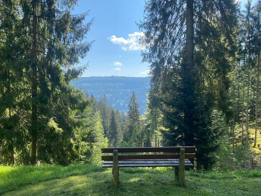 Bollenhut 1 Διαμέρισμα Bad Wildbad Εξωτερικό φωτογραφία