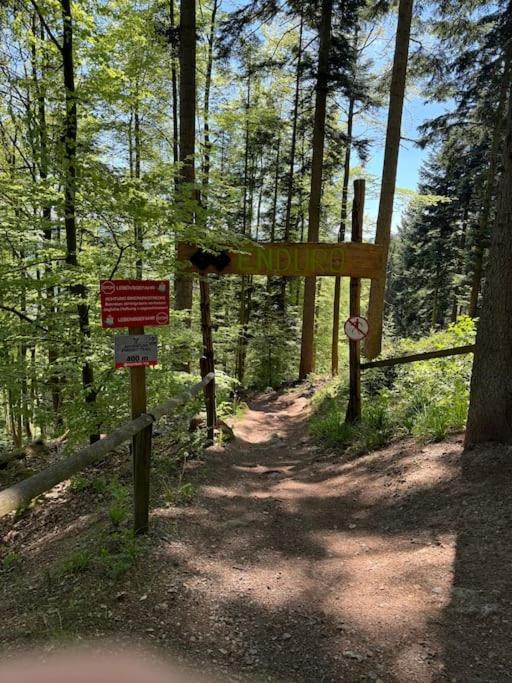 Bollenhut 1 Διαμέρισμα Bad Wildbad Εξωτερικό φωτογραφία