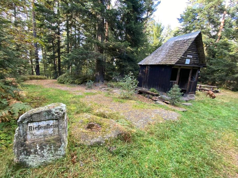 Bollenhut 1 Διαμέρισμα Bad Wildbad Εξωτερικό φωτογραφία