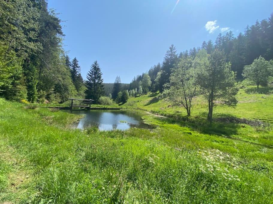 Bollenhut 1 Διαμέρισμα Bad Wildbad Εξωτερικό φωτογραφία