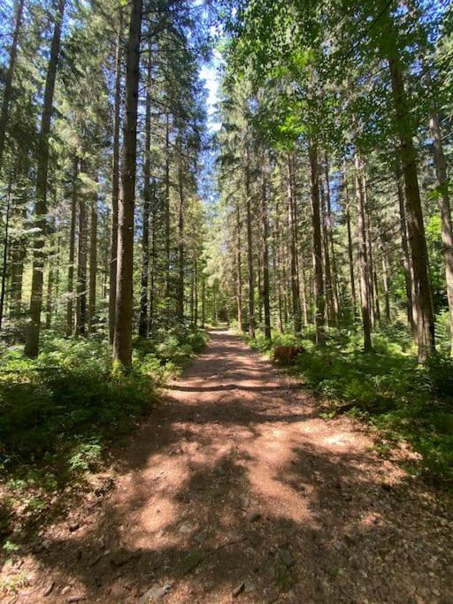 Bollenhut 1 Διαμέρισμα Bad Wildbad Εξωτερικό φωτογραφία
