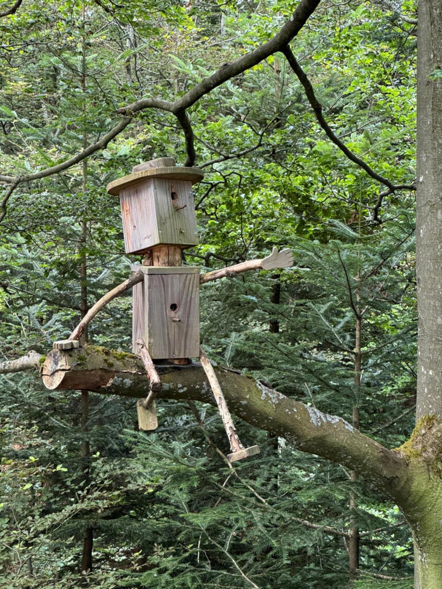 Bollenhut 1 Διαμέρισμα Bad Wildbad Εξωτερικό φωτογραφία