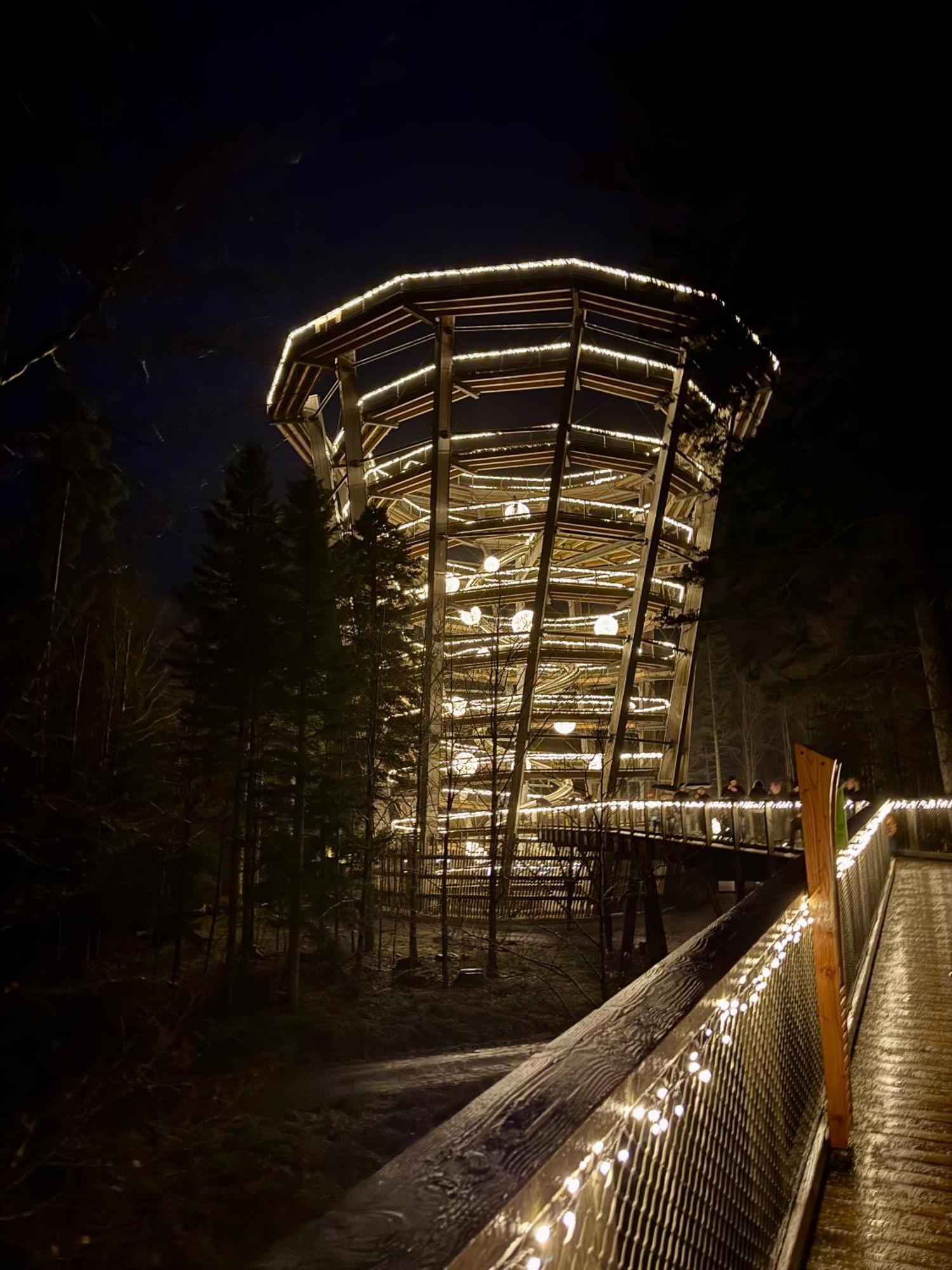 Bollenhut 1 Διαμέρισμα Bad Wildbad Εξωτερικό φωτογραφία